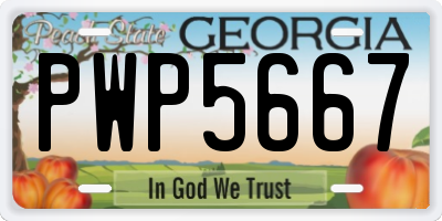 GA license plate PWP5667