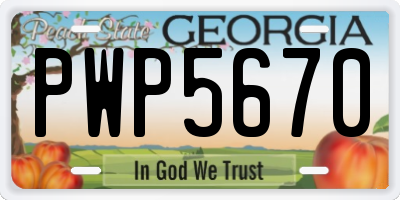 GA license plate PWP5670