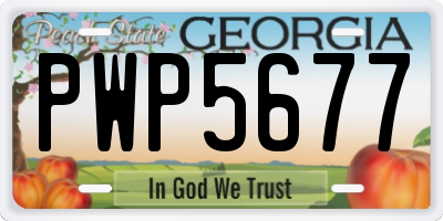 GA license plate PWP5677
