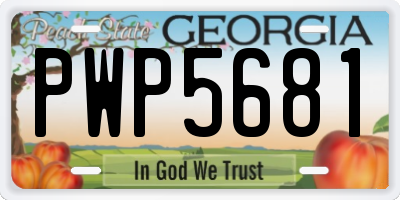 GA license plate PWP5681