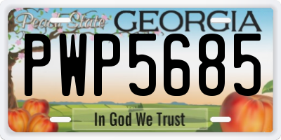 GA license plate PWP5685