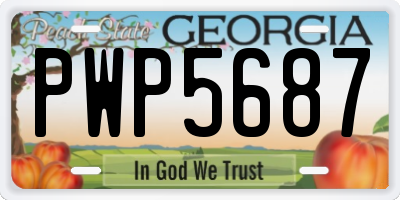 GA license plate PWP5687