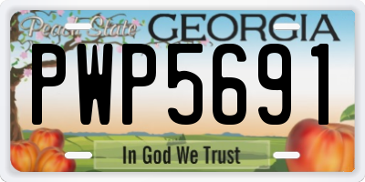 GA license plate PWP5691