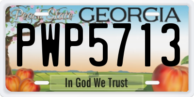GA license plate PWP5713