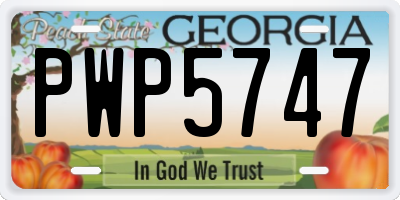 GA license plate PWP5747