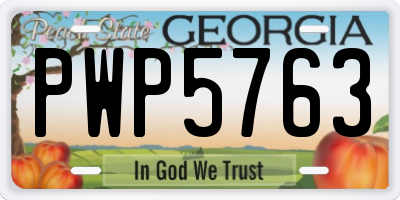 GA license plate PWP5763