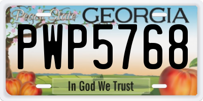 GA license plate PWP5768