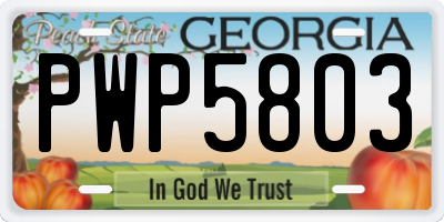 GA license plate PWP5803