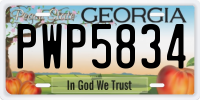 GA license plate PWP5834