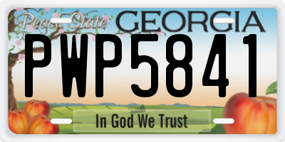 GA license plate PWP5841