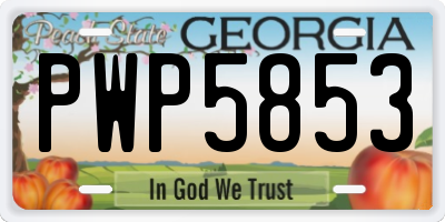GA license plate PWP5853