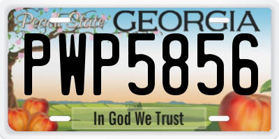 GA license plate PWP5856