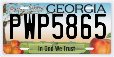 GA license plate PWP5865