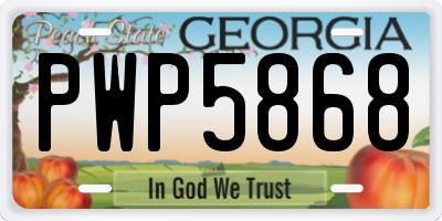 GA license plate PWP5868