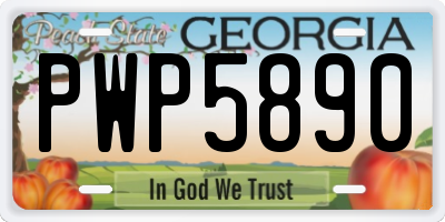 GA license plate PWP5890