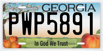 GA license plate PWP5891
