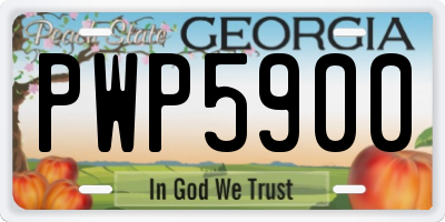 GA license plate PWP5900