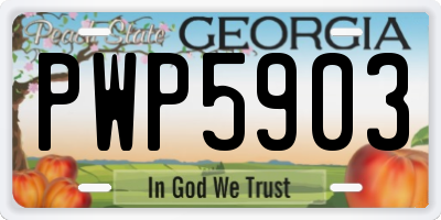 GA license plate PWP5903