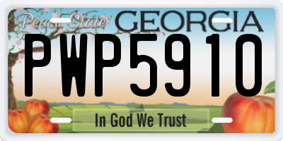 GA license plate PWP5910
