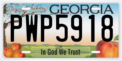 GA license plate PWP5918