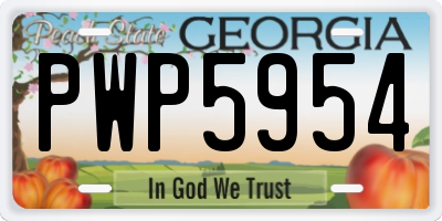 GA license plate PWP5954