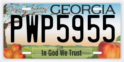GA license plate PWP5955