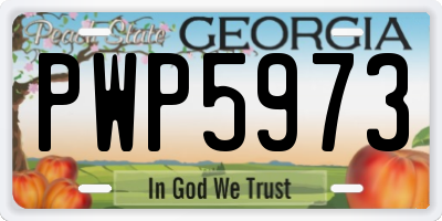 GA license plate PWP5973