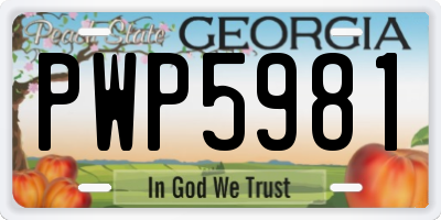 GA license plate PWP5981