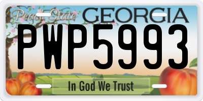 GA license plate PWP5993