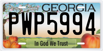 GA license plate PWP5994