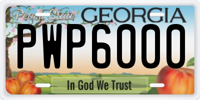 GA license plate PWP6000