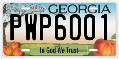 GA license plate PWP6001