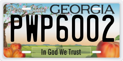 GA license plate PWP6002