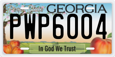 GA license plate PWP6004