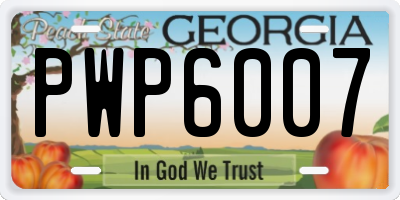 GA license plate PWP6007