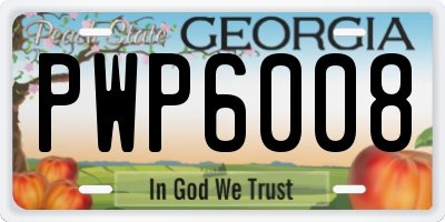 GA license plate PWP6008