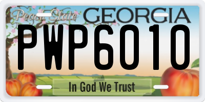 GA license plate PWP6010