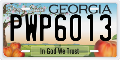 GA license plate PWP6013