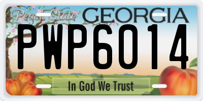 GA license plate PWP6014