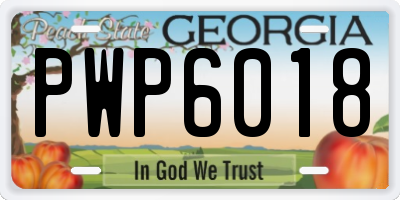 GA license plate PWP6018