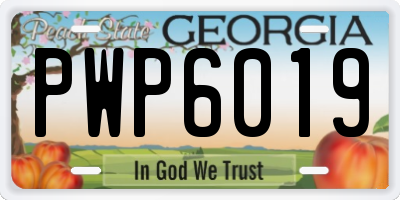 GA license plate PWP6019