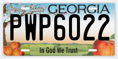 GA license plate PWP6022
