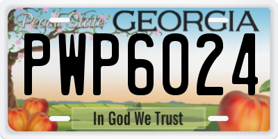 GA license plate PWP6024