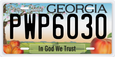GA license plate PWP6030
