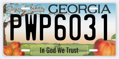 GA license plate PWP6031