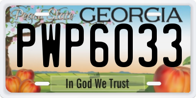GA license plate PWP6033