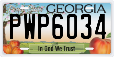 GA license plate PWP6034