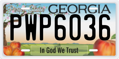 GA license plate PWP6036