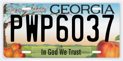 GA license plate PWP6037