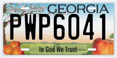 GA license plate PWP6041
